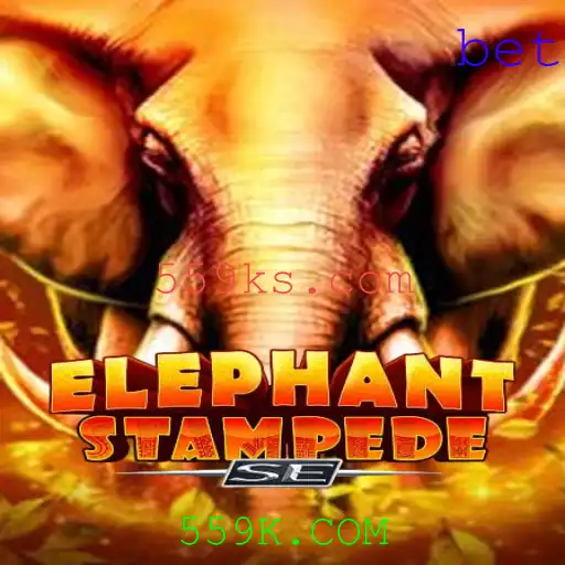 Explorando o Mundo de ElephantStampedeSE e a Conexão com 559K.COM