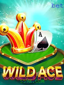 Explorando o Mundo de WildAce